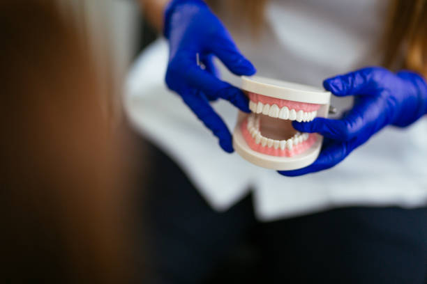 Trusted Finneytown, OH Holistic Dental Care Services Experts